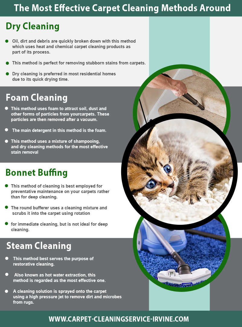 Carpet Cleaning Irvine Infographic