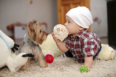 Carpet Cleaning Irvine